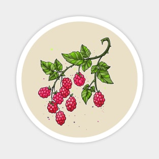 raspberries twig Magnet